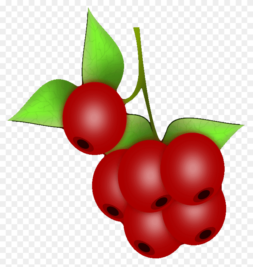 Wow™ Berries Sunset Grown. All - Berries