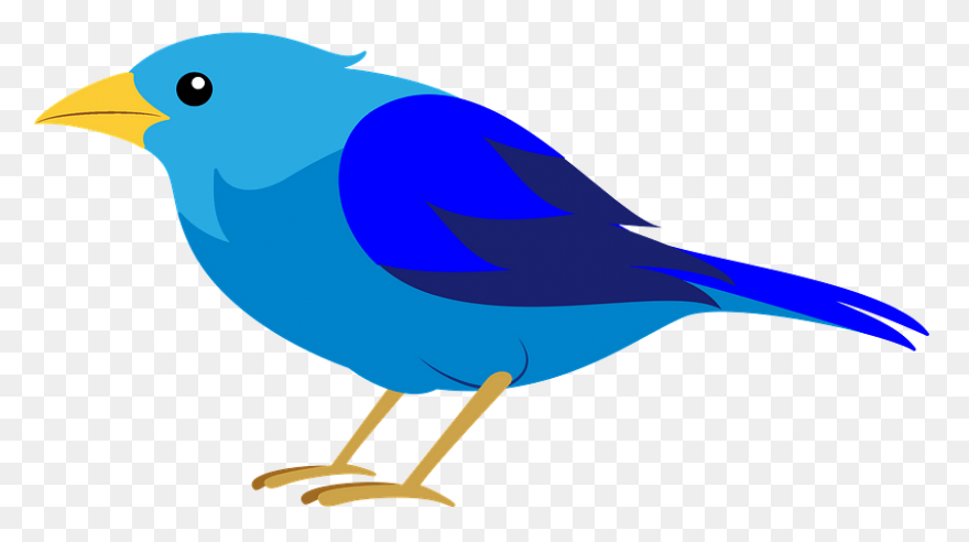 Bird Clip Art - Bird Images