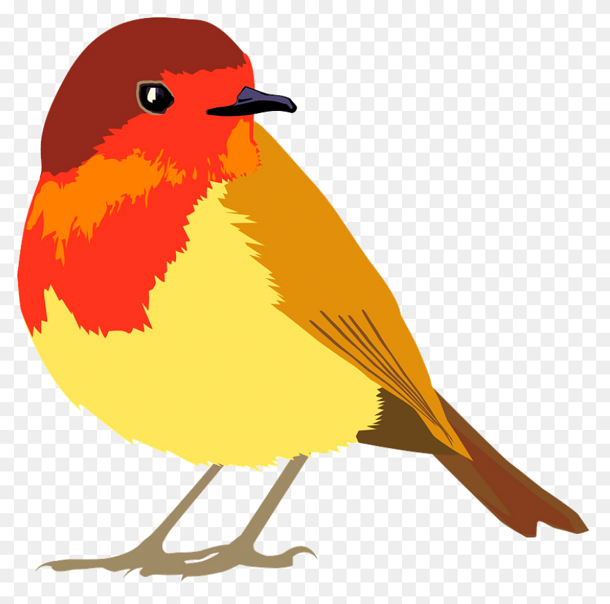 Bird Clip Art - Bird Images