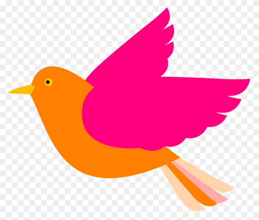 Download Hd Clipart Images Of Birds