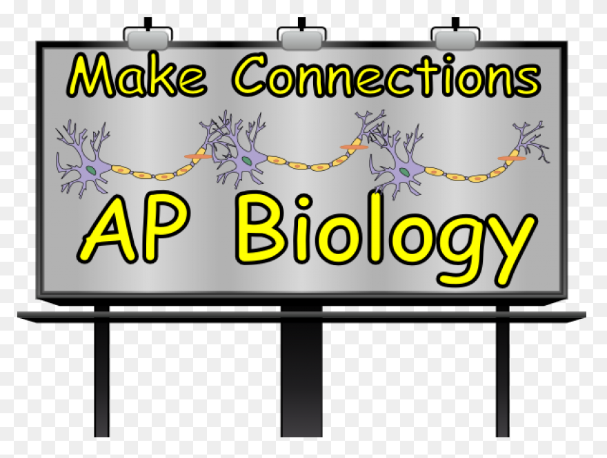 Free Biology Clipart - ClipartFlare