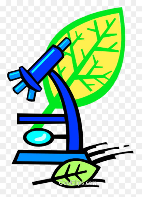 Free Biology Clipart - ClipartFlare