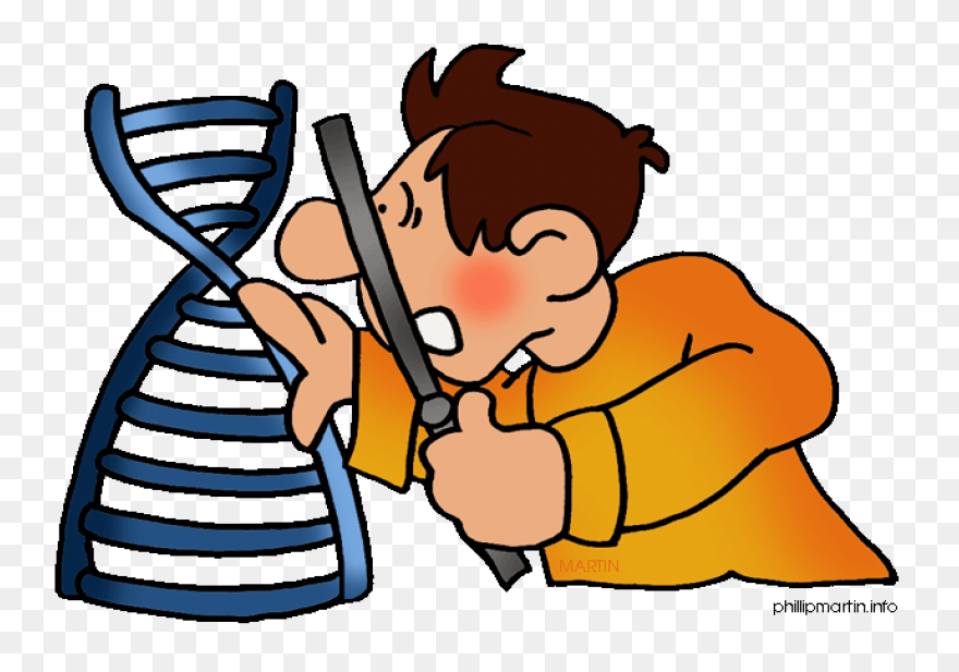 Free Biology Clipart - ClipartFlare