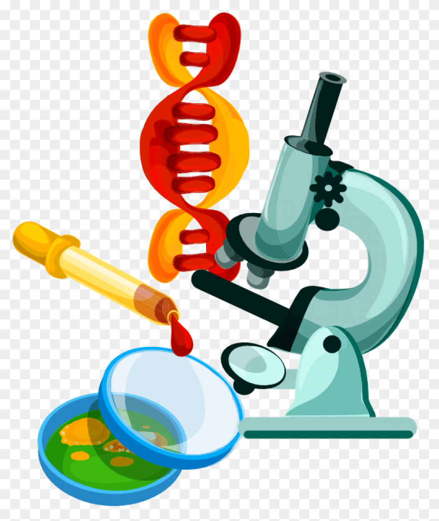 Free Biology Clipart - ClipartFlare