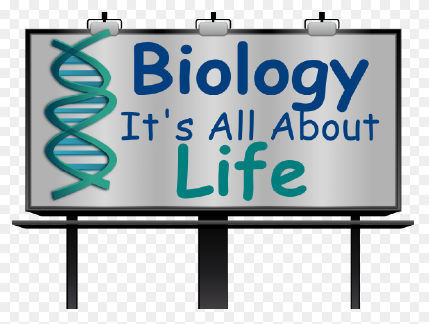 Free Biology Clipart - ClipartFlare