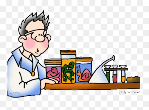 Free Biology Clipart - ClipartFlare