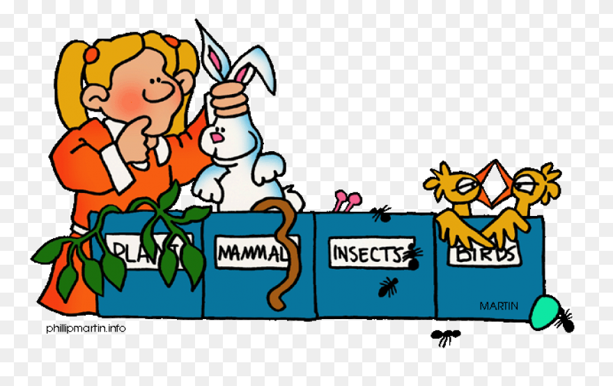 Free Biology Clipart - ClipartFlare