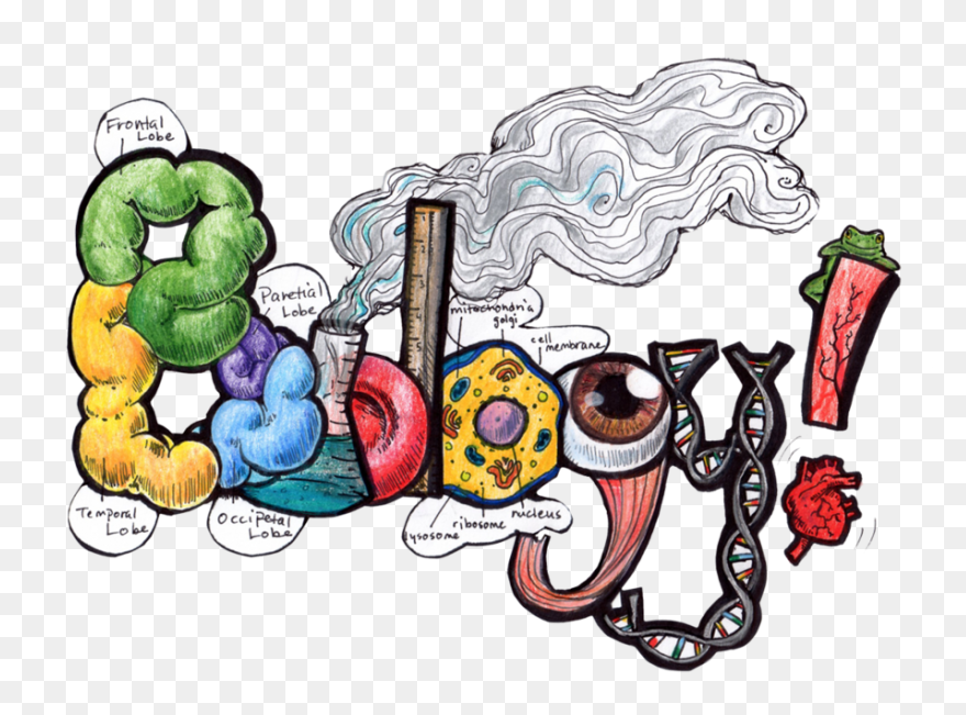 Free Biology Clipart - ClipartFlare
