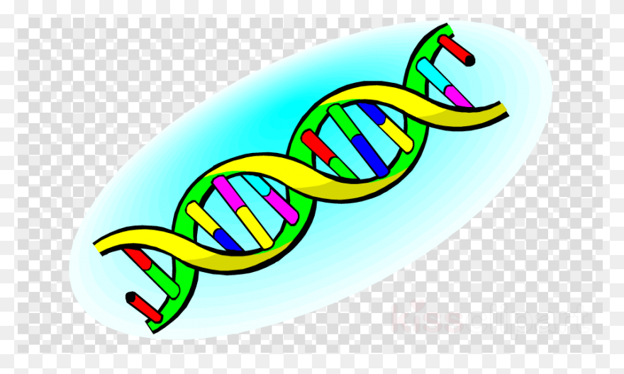 Free Biology Clipart - ClipartFlare
