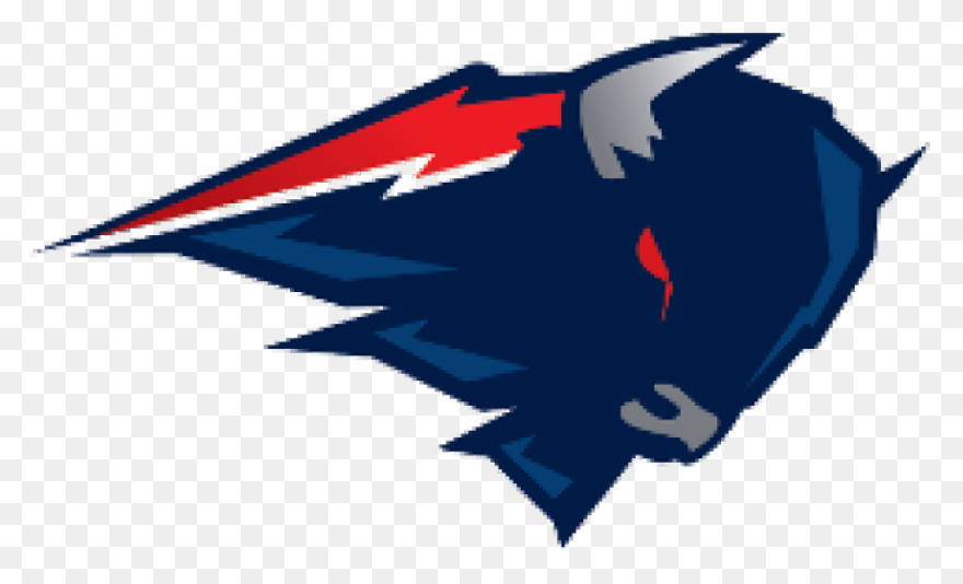 Buffalo Bills Mafia (@bufbillsmafia