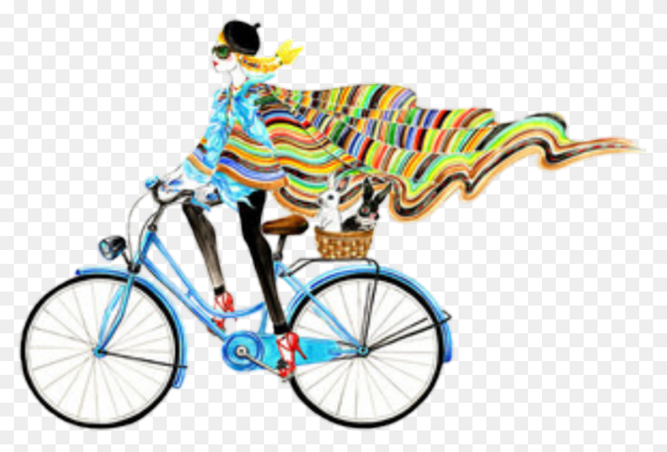 Free Photo Boy Male Bike Man Athlet