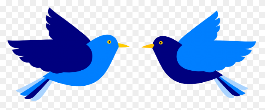 Flying Flock Of Birds Png Image | P