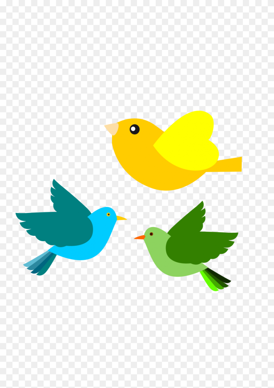 Flying Flock Of Birds Png Image | P