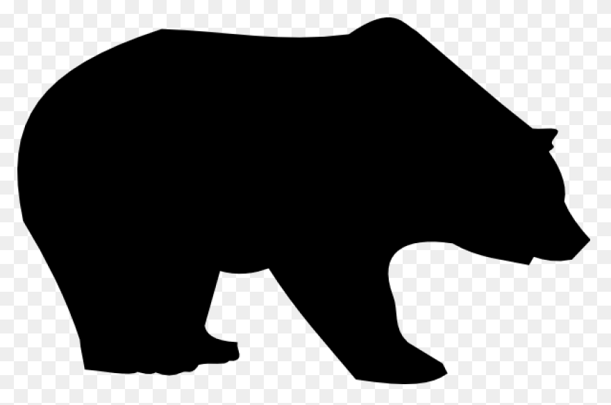 Polar Bear Brown Bear American Blac