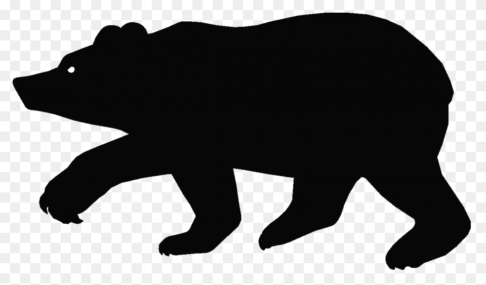 Polar Bear Brown Bear American Blac