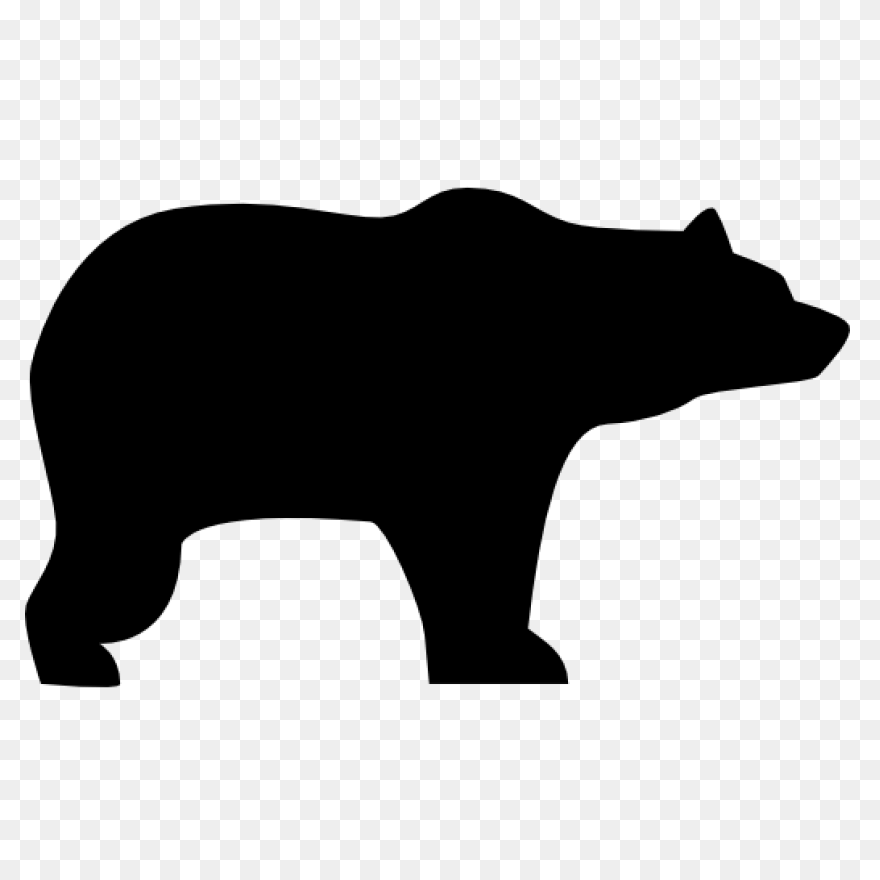 Polar Bear Brown Bear American Blac