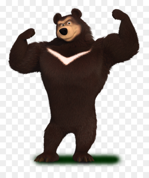 Polar Bear Brown Bear American Blac