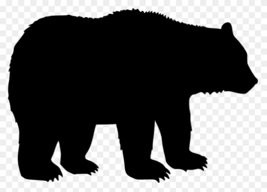 Polar Bear Brown Bear American Blac