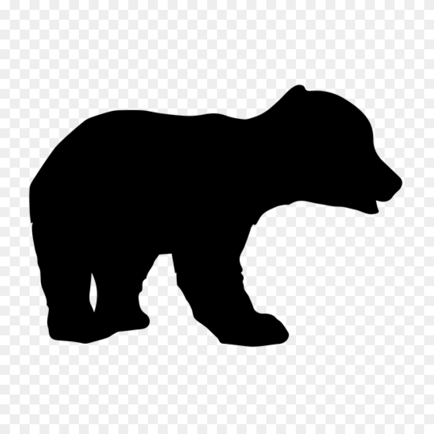 Polar Bear Brown Bear American Blac