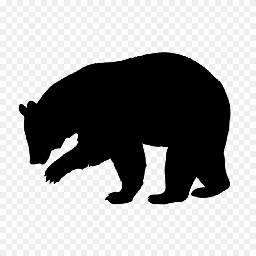 Polar Bear Brown Bear American Blac