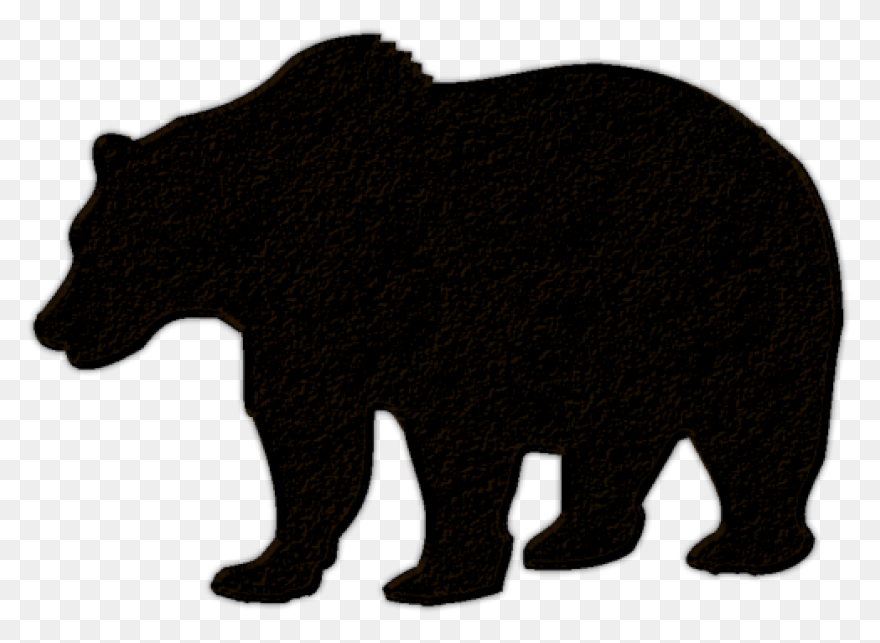 Polar Bear Brown Bear American Blac