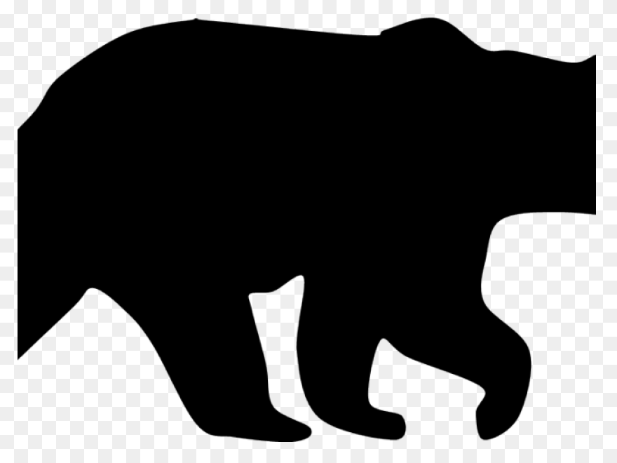 Polar Bear Brown Bear American Blac