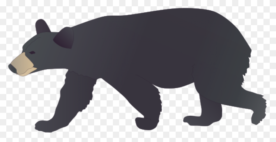Polar Bear Brown Bear American Blac