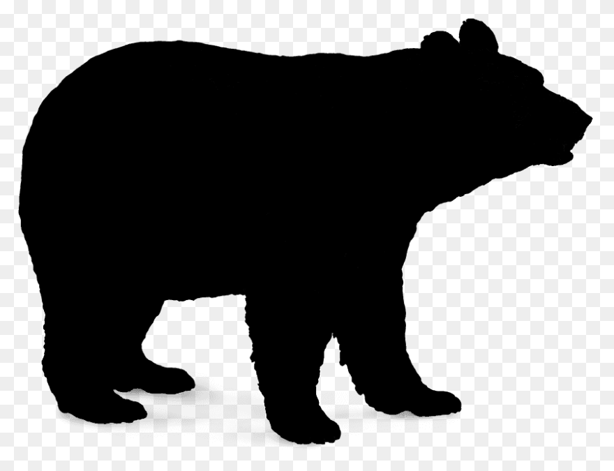 Polar Bear Brown Bear American - Black Bear