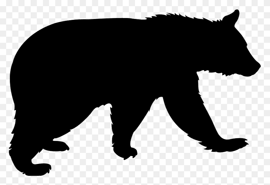 Polar Bear Brown Bear American Blac