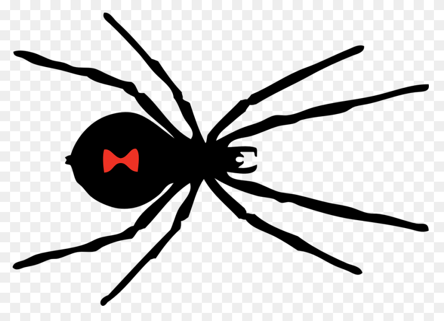 Black Widow Spider Free Vector - Black Widow Spider