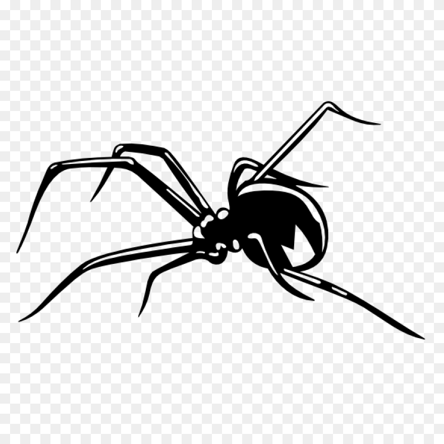 Black Widow Spider - Free Vector Gr
