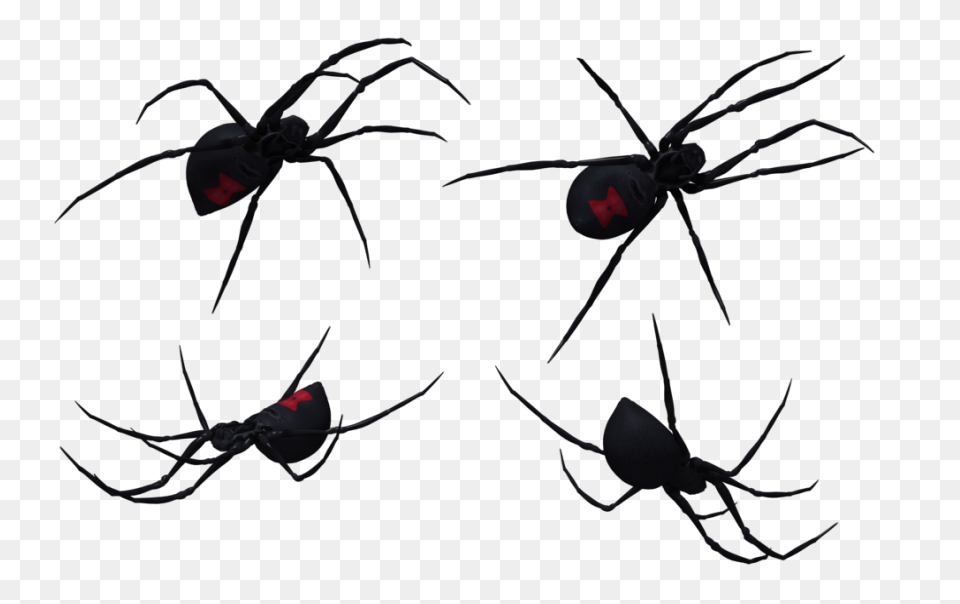 Black Widow Spider - Free Vector Gr