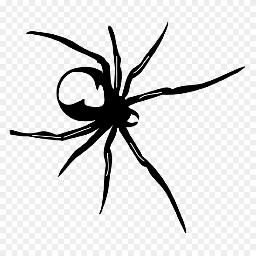 Black Widow Spider - Free Vector Gr