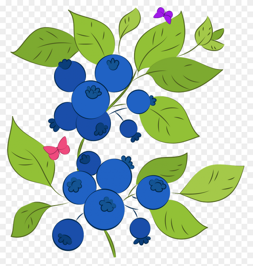 Berries, Berry, Blueberry, Fruit, N