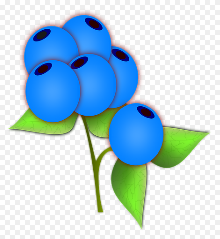 Berries, Berry, Blueberry, Fruit, N