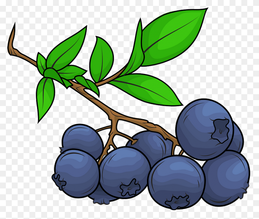 Berries, Berry, Blueberry, Fruit, N