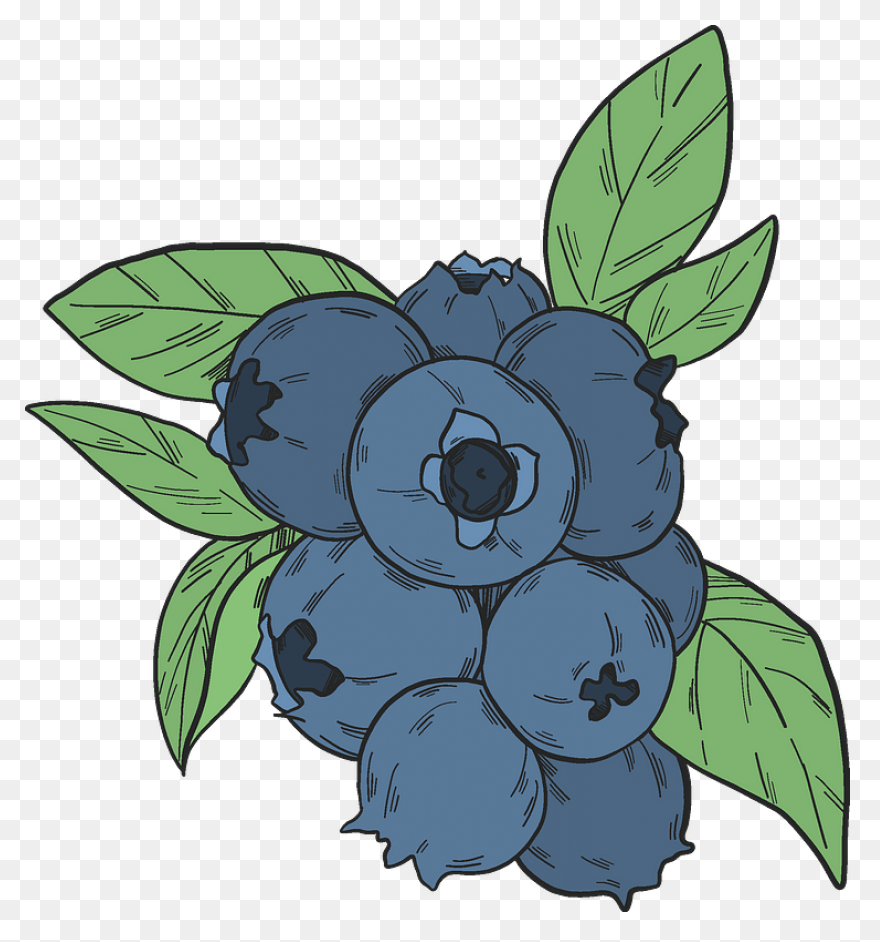 Berries, Berry, Blueberry, Fruit, N