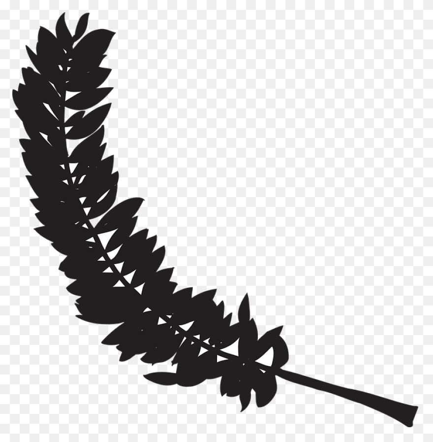 Bird Black And White Leaf Feather C