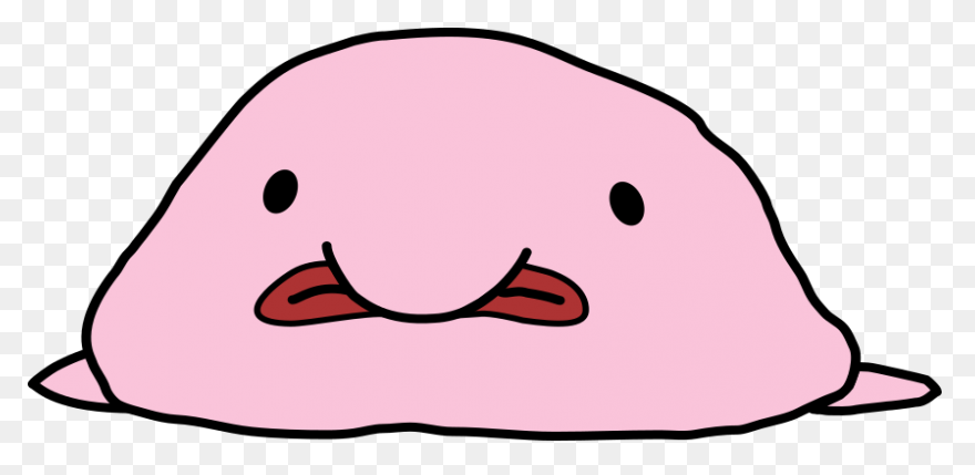 A Brief Discussion Of The - Blobfish