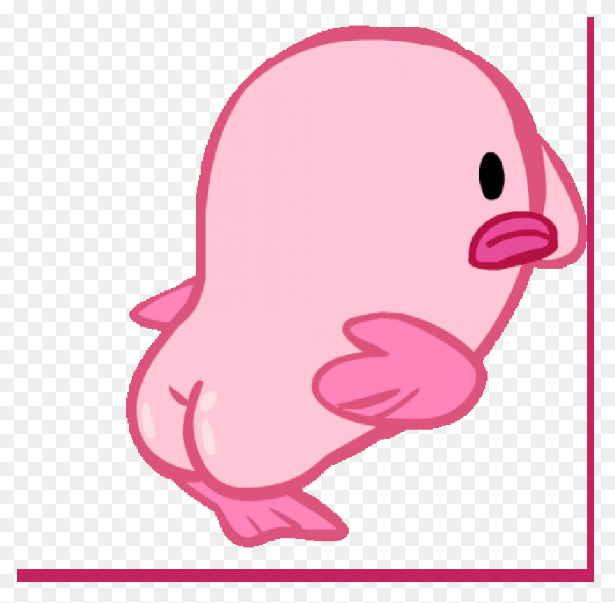 A Brief Discussion Of The Blobfish
