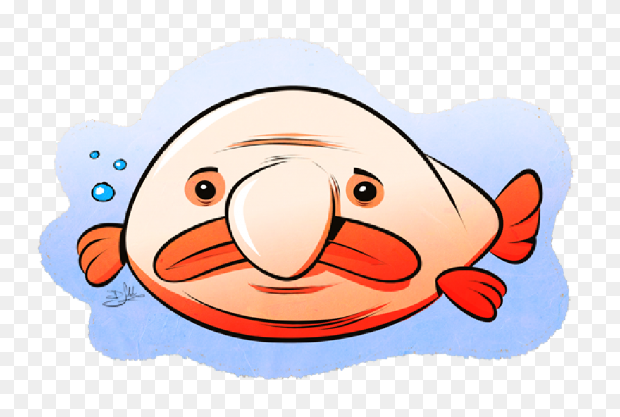 A Brief Discussion Of The Blobfish