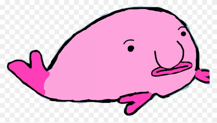 A Brief Discussion Of The Blobfish