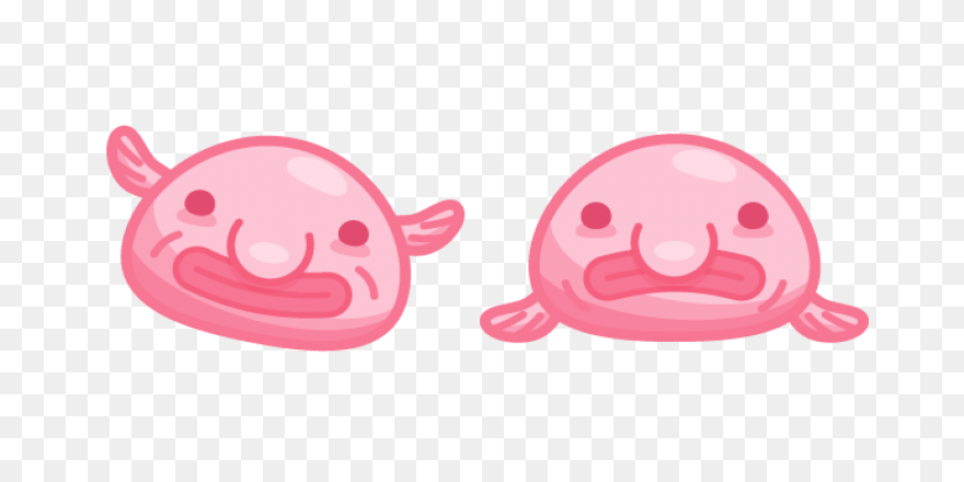 A Brief Discussion Of The Blobfish