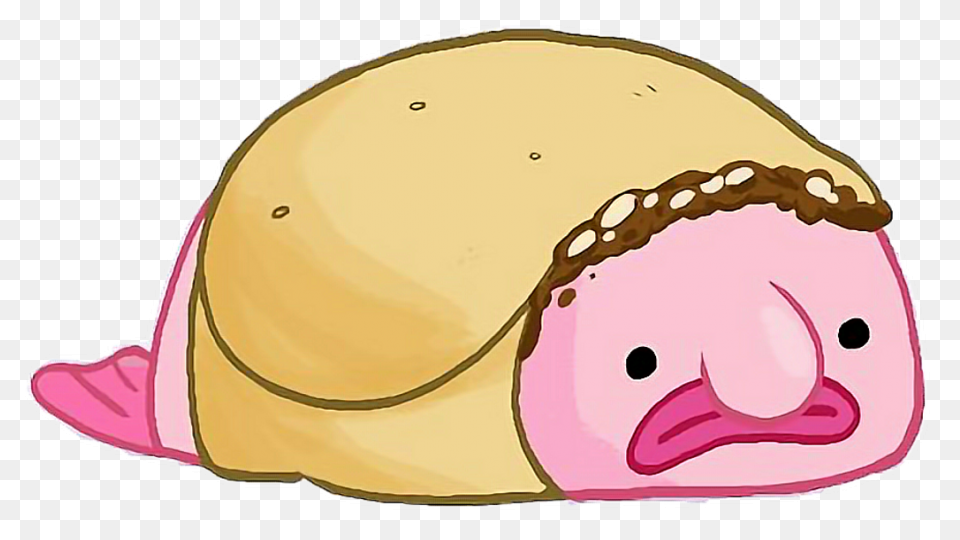A Brief Discussion Of The Blobfish