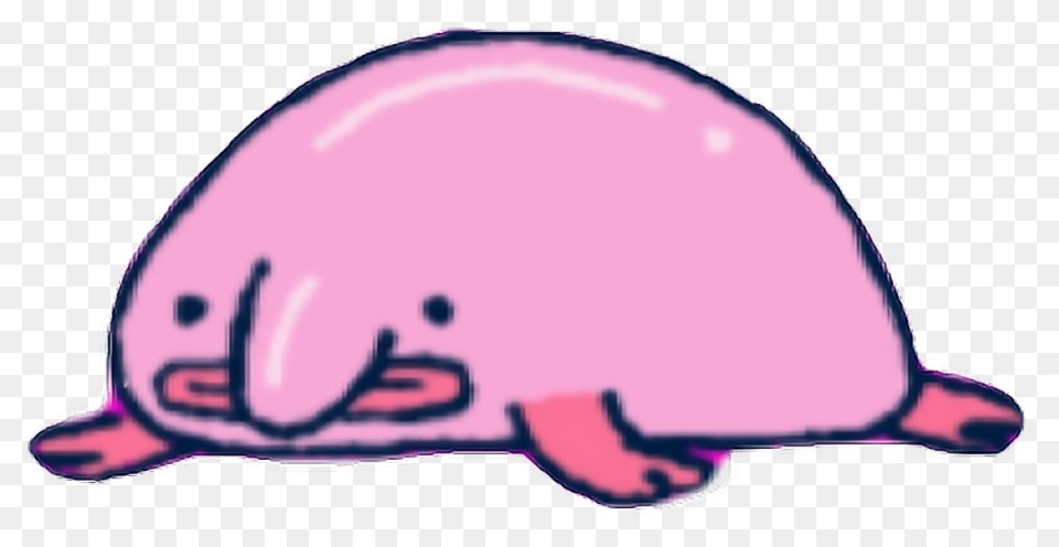 A Brief Discussion Of The Blobfish
