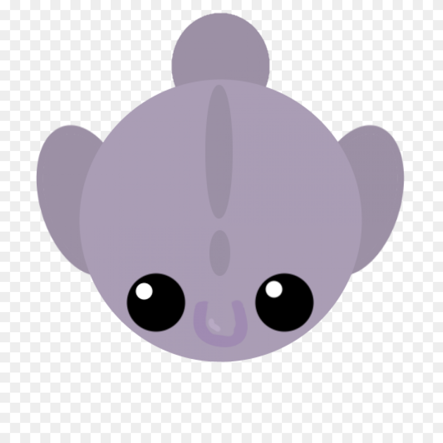 A Brief Discussion Of The Blobfish