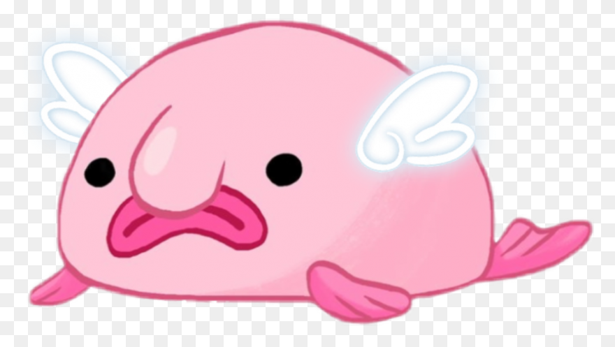 A Brief Discussion Of The Blobfish