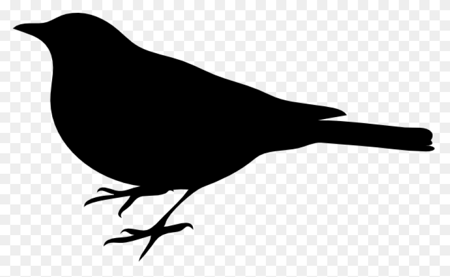 Blackbird Clipart Sparrow - Black B