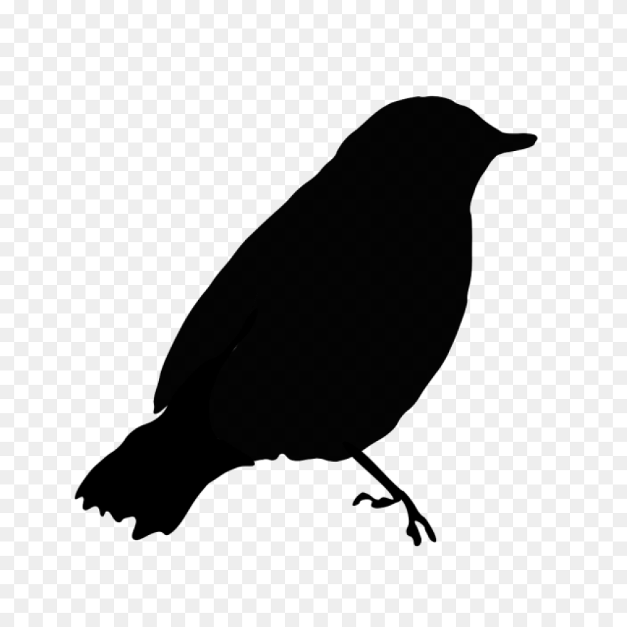 Blackbird Clipart Sparrow - Black B