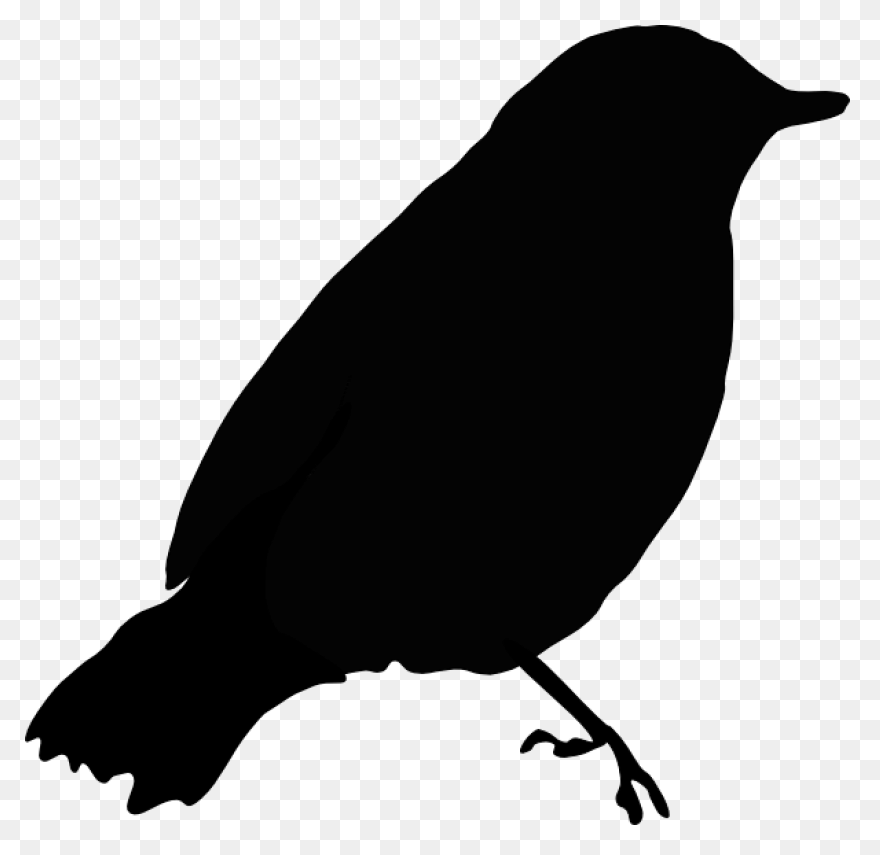 Blackbird Clipart Sparrow - Black B